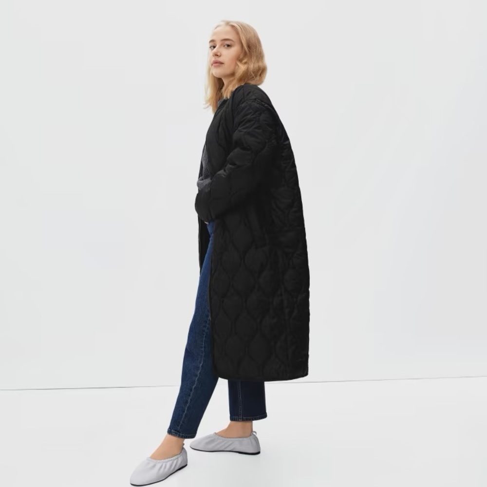 Everlane Black Quilted Puffer Coat